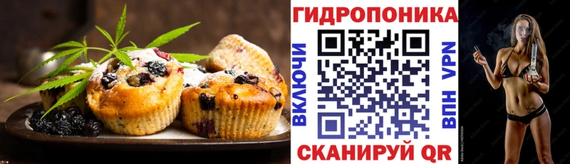 Canna-Cookies марихуана  Наволоки 