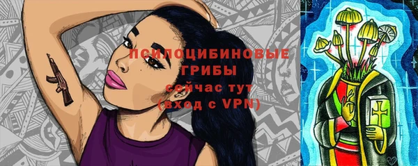 мяу мяу кристалл Арсеньев