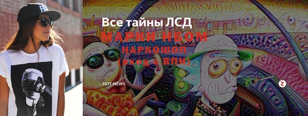 ешки Аркадак