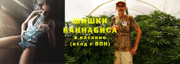 ешки Аркадак